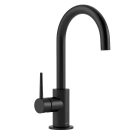 Contemporary bar faucet